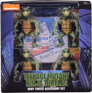baby turtle5