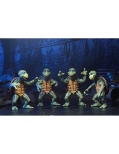 baby turtle8