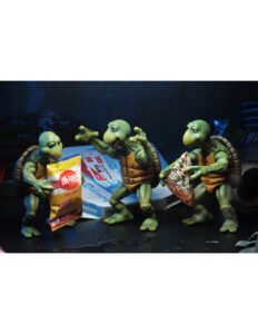 baby turtle9